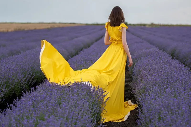 Лавандулова приказка край село Дуванлии, обл. Пловдив
