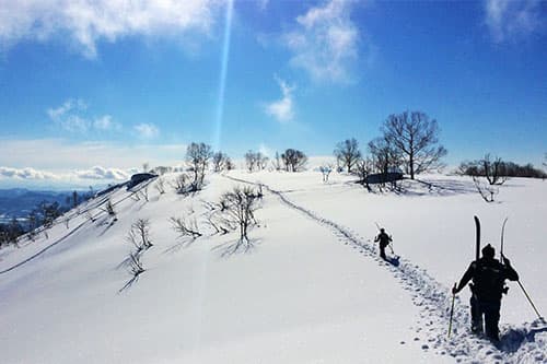 Нисеко - снимка