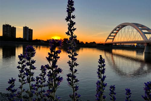 Нови Сад - забележителности